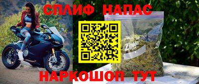 прущие грибы Гай