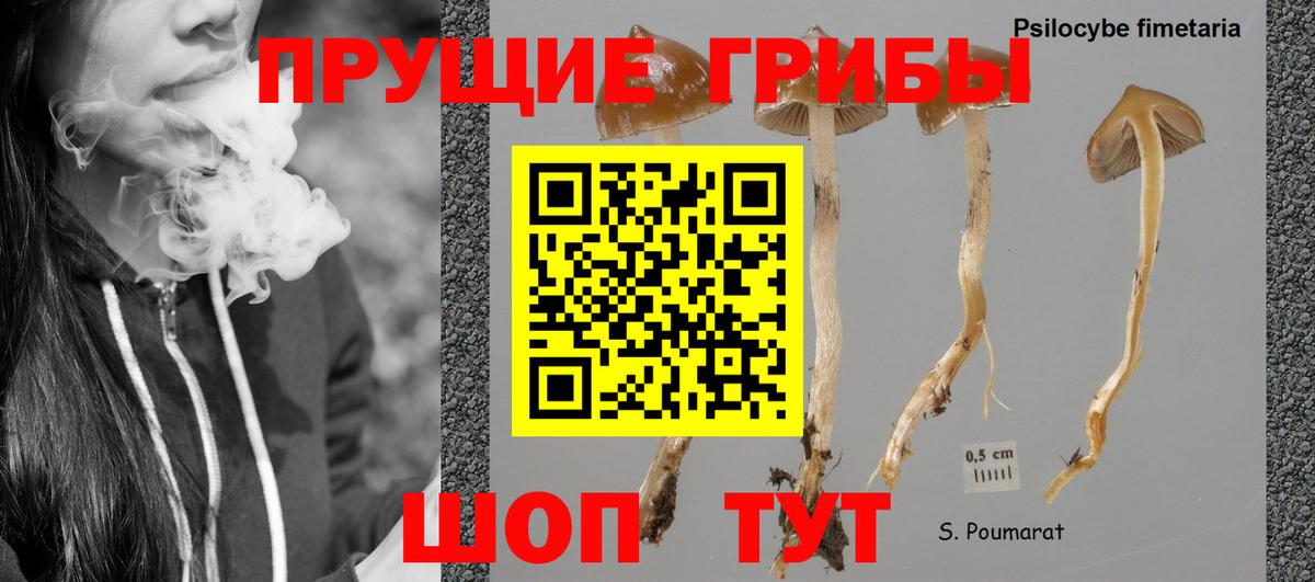 Набережные Челны  Галлюциногенные грибы GOLDEN TEACHER  Псилоцибиновые грибы Psilocybine cubensis  Вход с VPN 