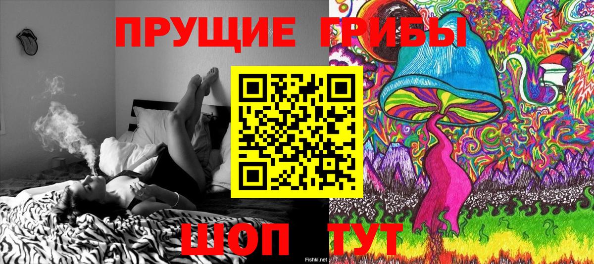 Псилоцибиновые грибы мухоморы Набережные Челны
